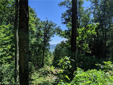 The view from a neighboring lot.  74 & 76 are higher and face the same direction.