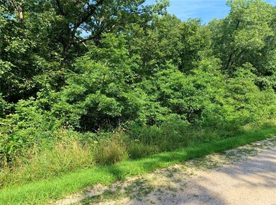 0 County Road 7160, Rolla, MO 65401 - photo 2