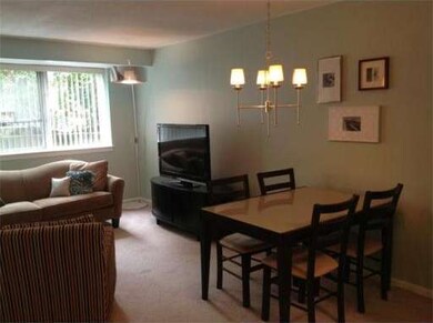 Hammond Park Condominiums unit 17, Chestnut Hill, MA 02467 - photo 7