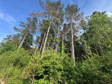 00 Sylvester Hudson Rd, Louisville, MS 39339 - photo 4