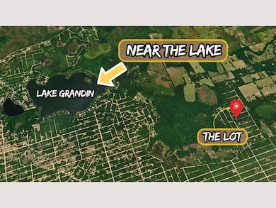 P44M+6GG Florahome unit Florida USA, Florahome, FL 32140 - photo 5