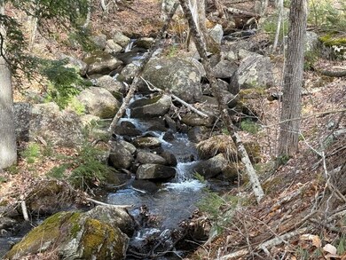 Lot #2 Moose Hill Rd, Livermore Falls, ME 04254 - photo 2