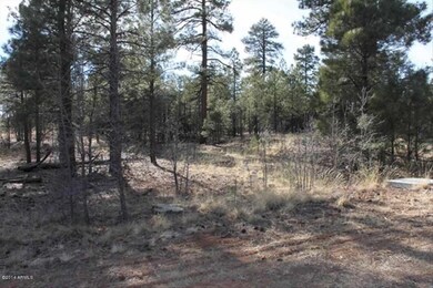 Lot 487 5