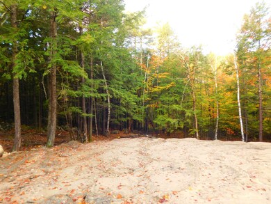 53 Debec Ln, Brookfield, NH 03872 - photo 5