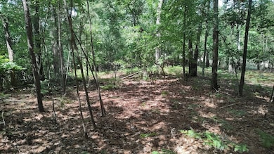 IMG_20250615_152215063_HDR