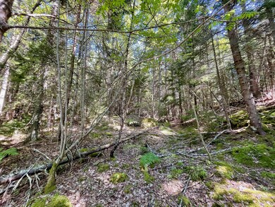 91A S Burnt Cove Road004