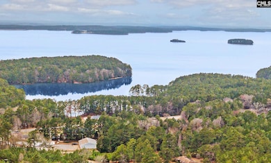 9041 State Highway 213, Winnsboro, SC 29180 - photo 2