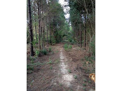 0 Par Road 180, Franklinton, LA 70438 - photo 4