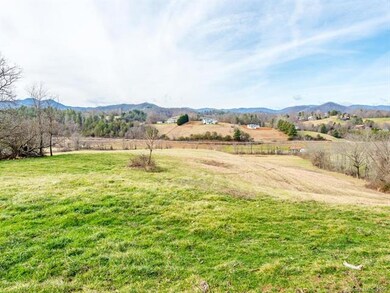 99999 King Dr, Leicester, NC 28748 - photo 5