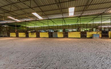 Stables 5