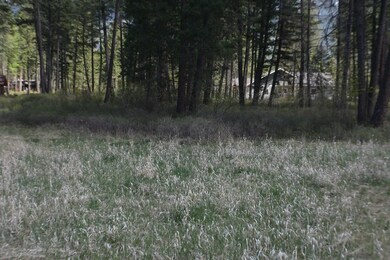 47 Wood Ridge Dr unit Lot 22, Columbia Falls, MT 59912 - photo 6