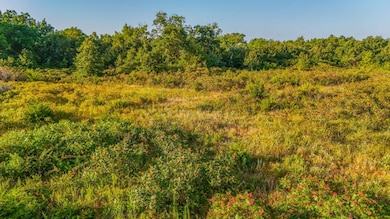14.87Ac Vfw Rd, Glencoe, OK 74032 - photo 6