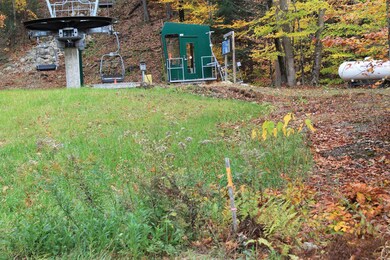 59 S Peak Rd unit PR 11 & PR 12, Lincoln, NH 03251 - photo 5