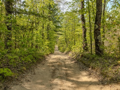 Parcel 2 E Koenig Rd, Free Soil, MI 49411 - photo 2