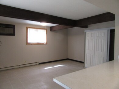 37 Bermuda Colony unit 3, Fox Lake, IL 60020 - photo 5