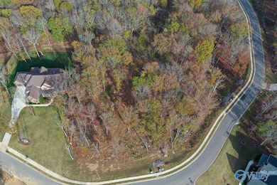 2 Watson Grande Way, Owens Cross Roads, AL 35763 - photo 4