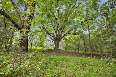 Lot D Wolf Tree Way, Efland, NC 27243 - photo 4