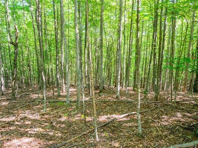 1306 Double Knob Dr unit 112, Arden, NC 28704 - photo 4