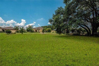 30134 Bretton Loop, Mount Dora, FL 32757 - photo 6