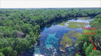 9069 SW 190th Avenue Rd, Dunnellon, FL 34432 - photo 2