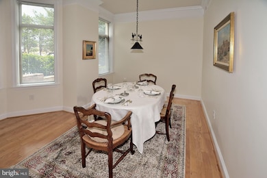 The Palladium at McLean unit G05-5, McLean, VA 22101 - photo 7