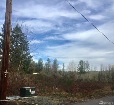 8709 Erickson Rd SW, Longbranch, WA 98351 - photo 4