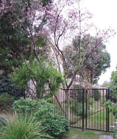 Beautiful Magnolia Tree in Bloom
