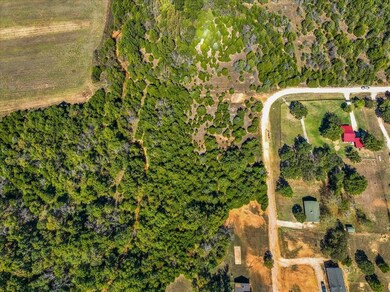 Aerial view featuring a rural view