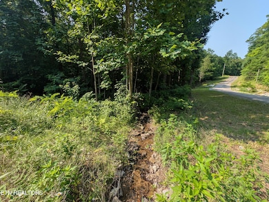 PXL_20250602_143102268