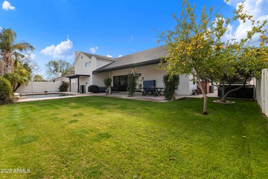 Large Backyard