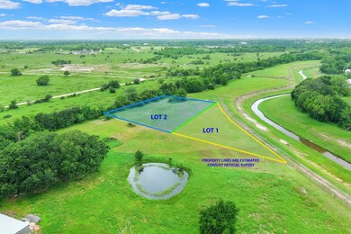 3 acre lot on the high bank of Cowarts Creek. Never flooded and in Flood Zone X - RARE find!