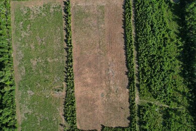 Off Straight Rd unit LotWP001, Oriental, NC 28571 - photo 4