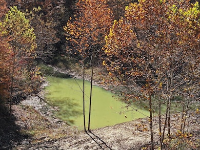 9997 Little Doe Creek Rd, Irvine, KY 40336 - photo 2