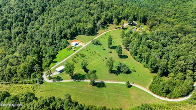 Ariel View
