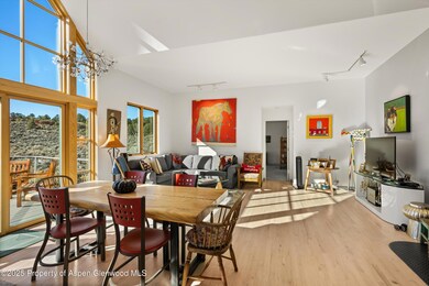 525 Cactus Flats Rd, Carbondale, CO 81623 - photo 6