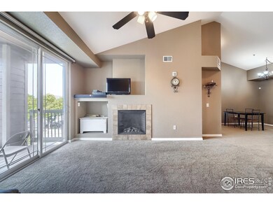804 Summer Hawk Dr unit 5303, Longmont, CO 80504 - photo 7