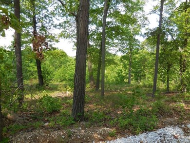 16859 Wyola Rd, Winslow, AR 72959 - photo 5