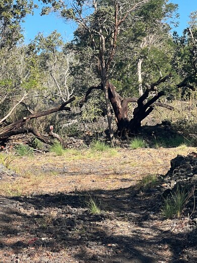 0 Aloha Blvd unit 726172, Ocean View, HI 96737 - photo 4