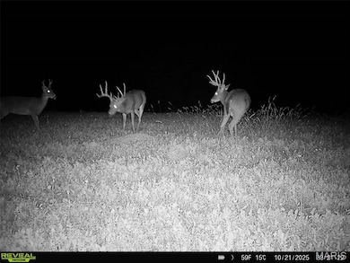 91.11 Acres Lollar Branch Rd, Sullivan, MO 63080 - photo 3