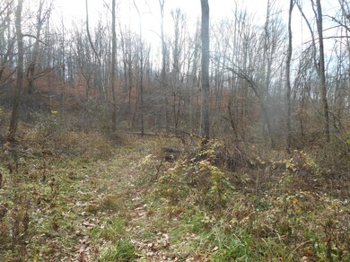 24070 Us Highway 52, Laurel, IN 47024 - photo 6