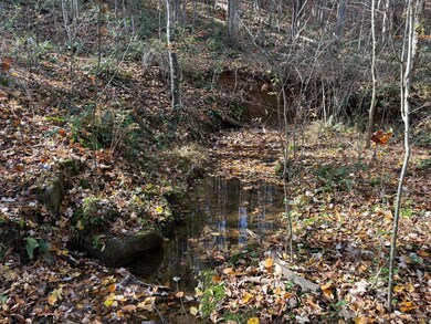 9-D Richmond Hwy, Amherst, VA 24521 - photo 6