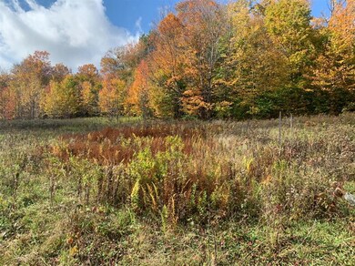 0 Narrow Notch Rd Rd unit OD132890, Yorktown Heights, NY 10598 - photo 7