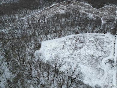 1965 Stringtown Rd, Shoal Creek Township, IL 62086 - photo 4