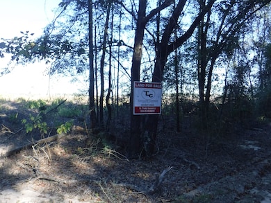 6632-6846 Dixie Hwy, Bradley, AL 36483 - photo 2