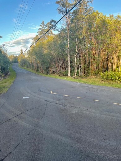 11-3432 Hibiscus St, Mountain View, HI 96771 - photo 5