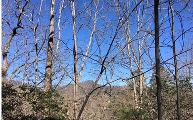 Additional View