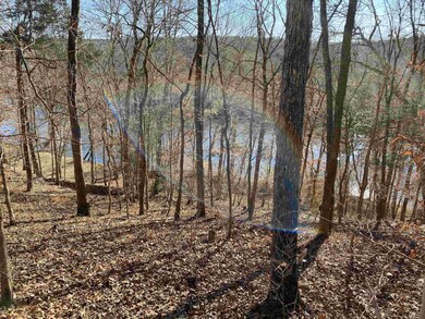 375 Riverwalk Trail, Pittsboro, NC 27312 - photo 6