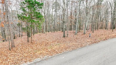 LOT 66 Preserve Blvd, Savannah, TN 38372 - photo 7