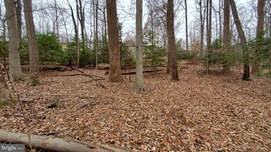 12019 Fair Hill Ln, Manassas, VA 20112 - photo 6