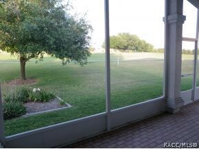 View of Backyard